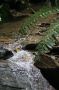 Trinidad2005 - 021